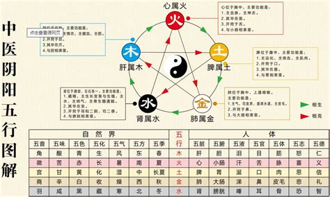 水代表什么|探秘五行学说：水元素的意象与独特属性